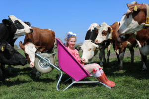 6 koeien vrijgezellenfeest fotoshoot