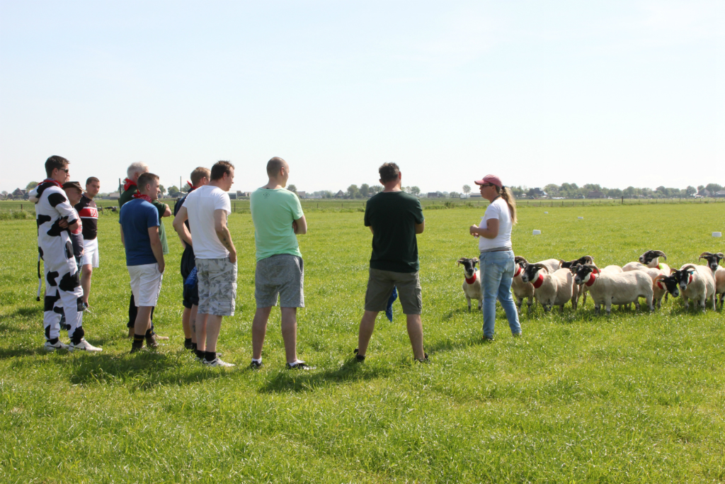 boerderijsurvival-schapen-drijven1