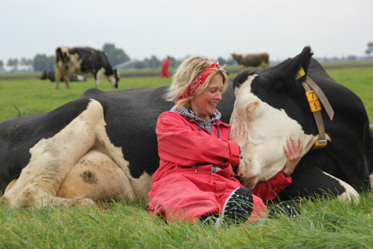 koe-knuffelen-noord-holland-768x512